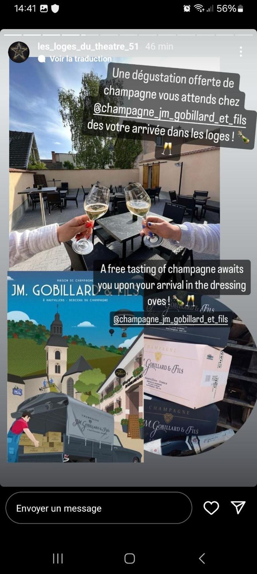 Les Loges Du Theatre Degustation Champagne Offerte Jacuzzi Sauna Jeux Velos Maison Prive 150M2 Historique 14Pers Max Emplacement Exceptionnel Et Chic, 200M De L'Avenue De Champagne, Gare, Musee, Jardins, Restaurations, Toutes Commodites Épernay Kültér fotó
